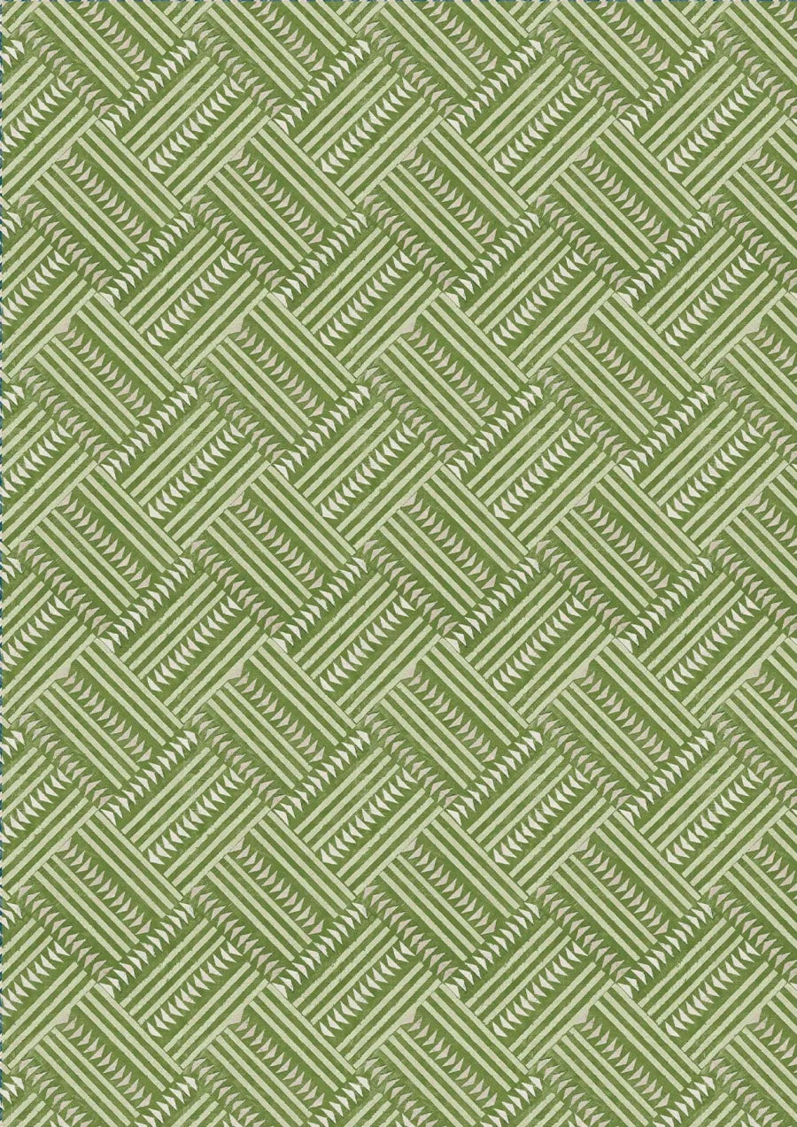 Lewis & Wood Checkerbox Cactus Made to Measure Curtains – close-up
