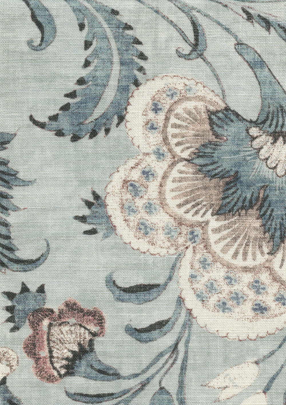 Coromandel Persian