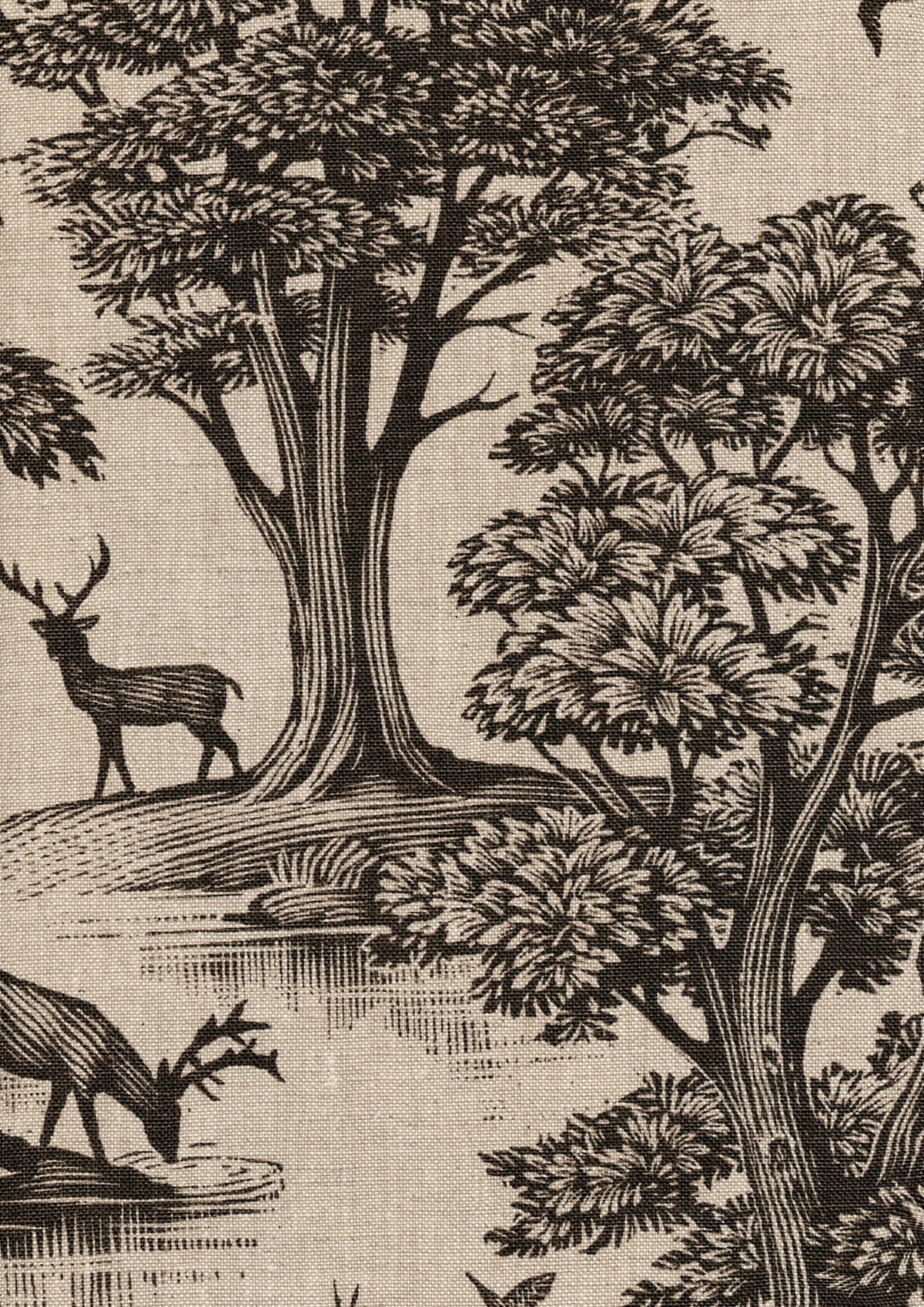 Lewis & Wood Deer Park Black Made to Measure Roman Blinds – fabric detail