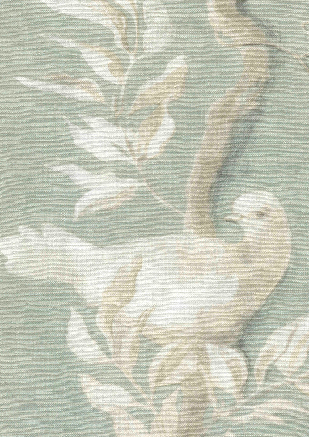 Doves Aquamarine