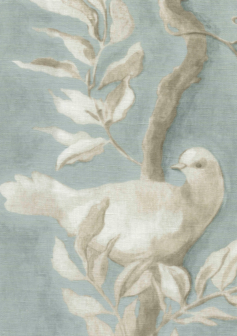 Doves Rock Dove