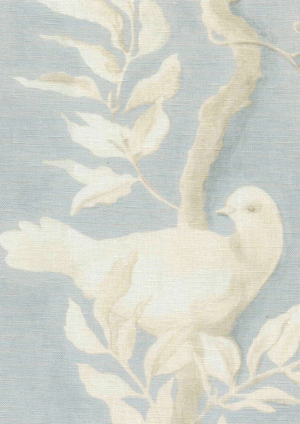Doves Summer Blue