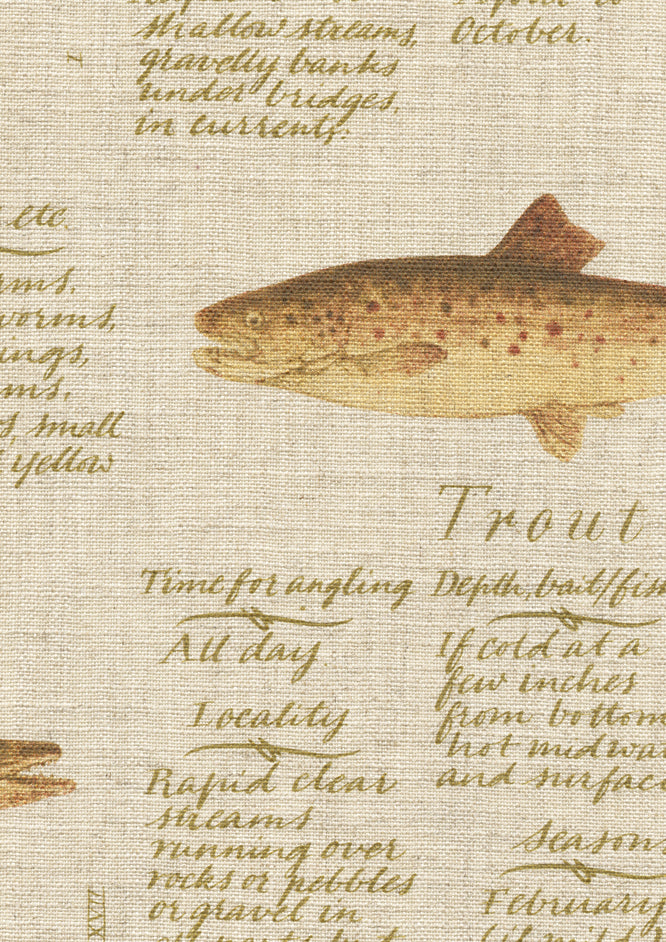 European Fish European Fish