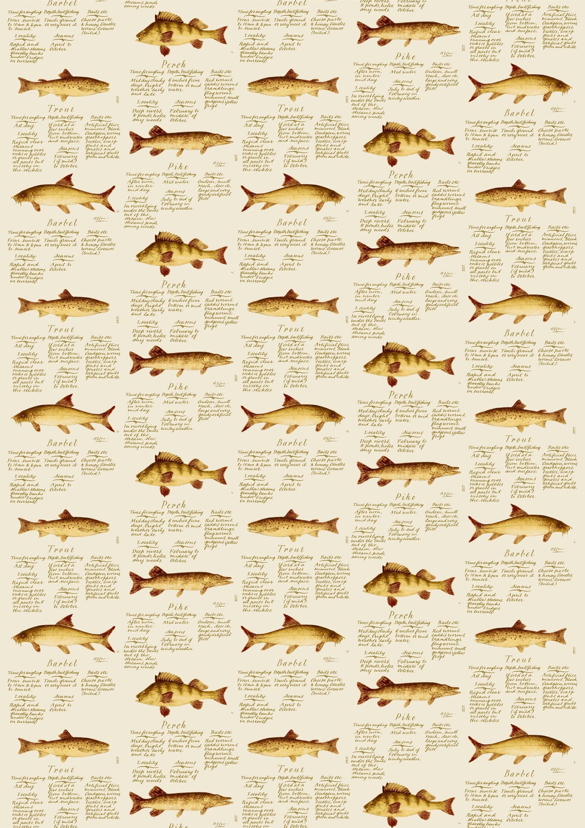 Lewis & Wood European Fish Made to Measure Roman Blinds – full width