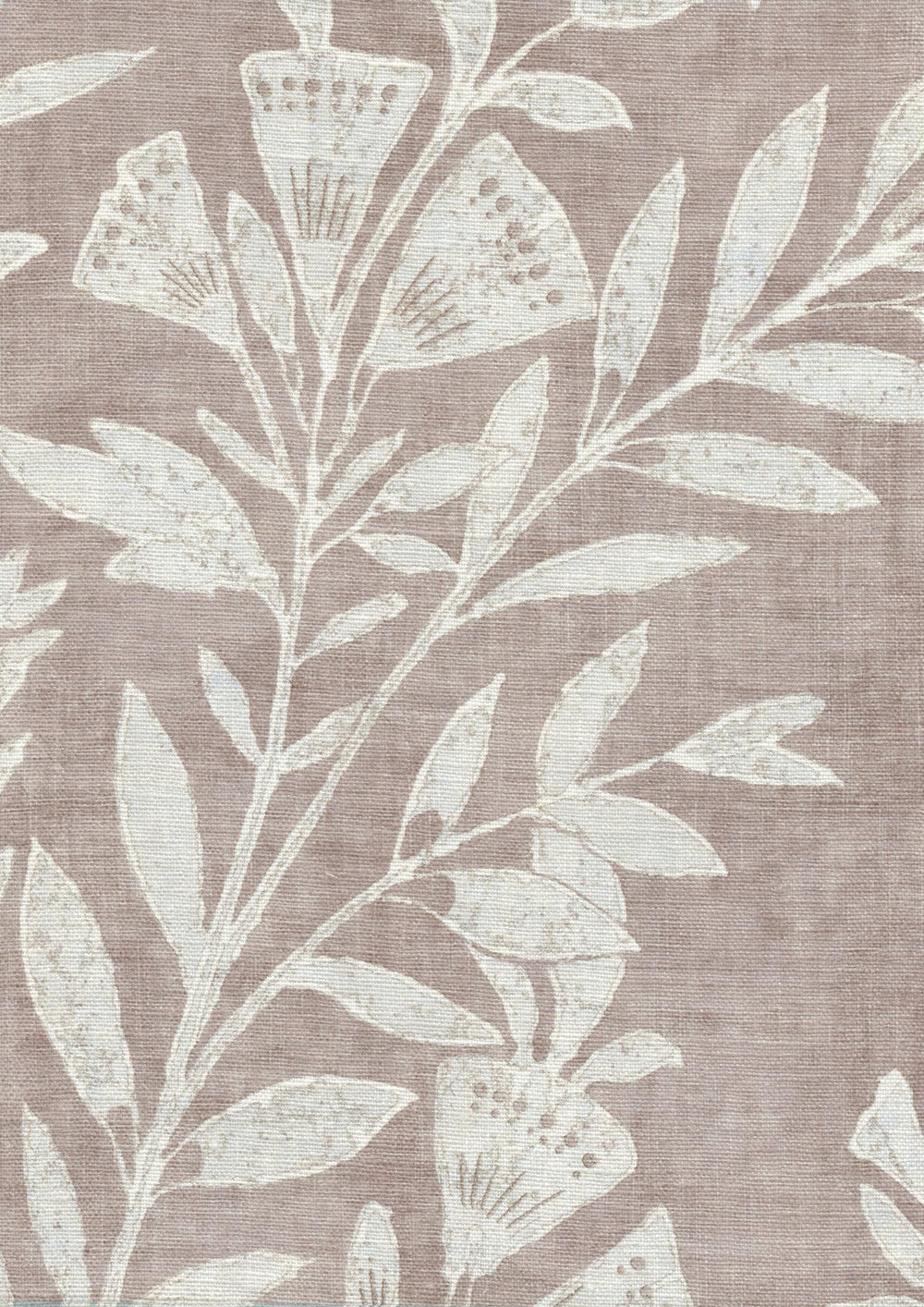 Fan Flower Shell