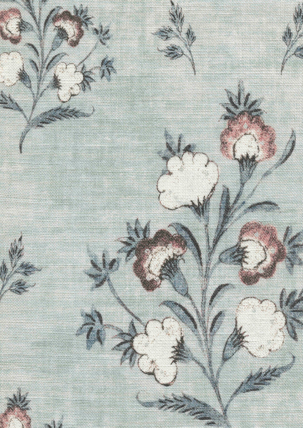 Hindi Rose Persian