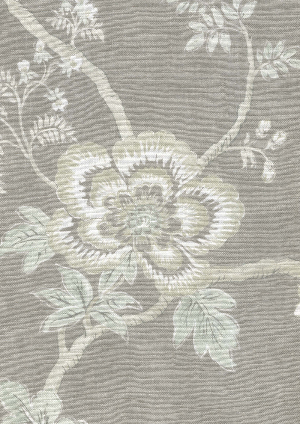 Indienne Hellebore