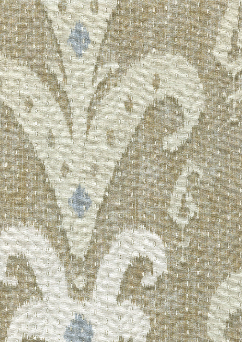Kanthakat Honey Dove