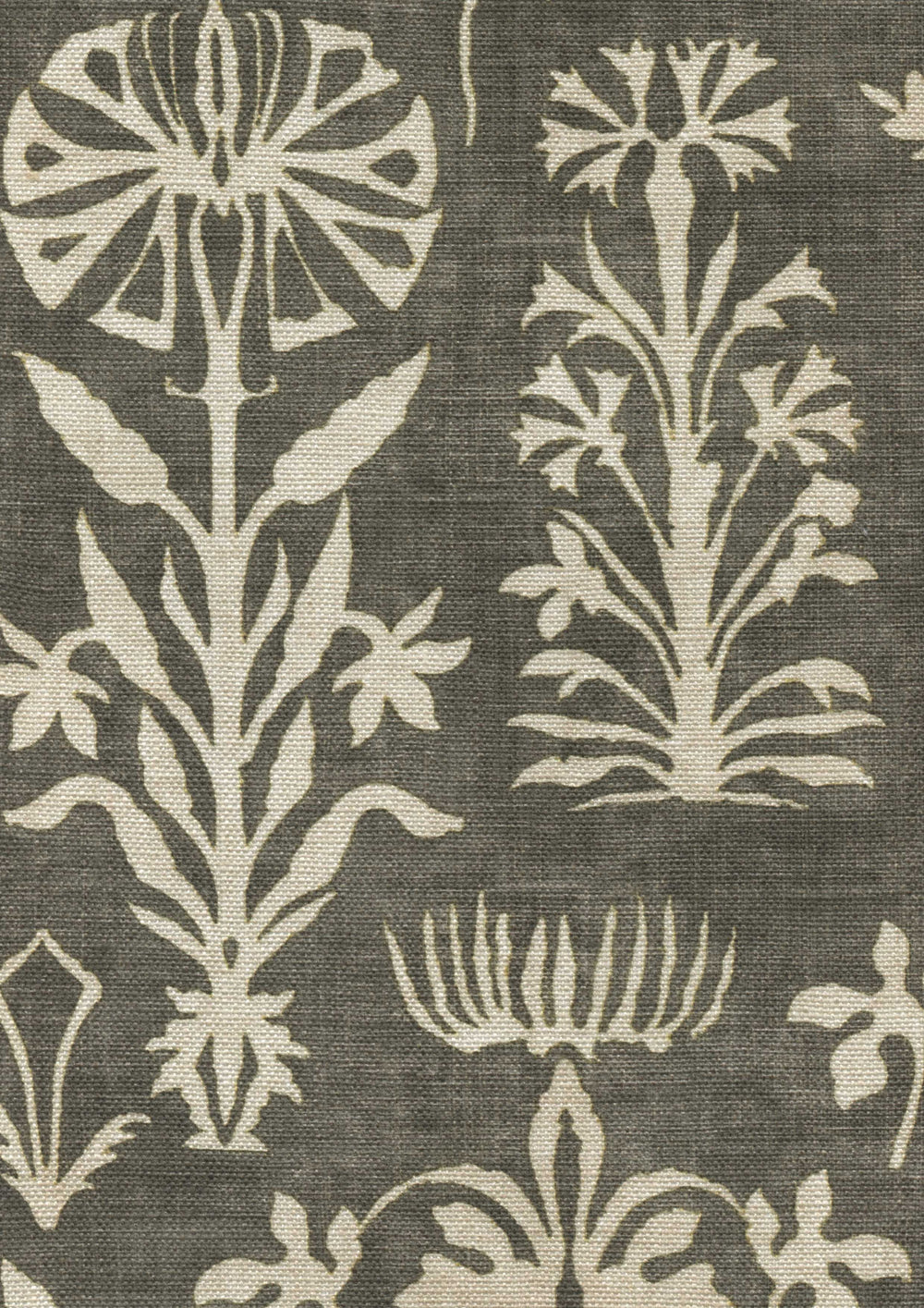 Papyrus Nero