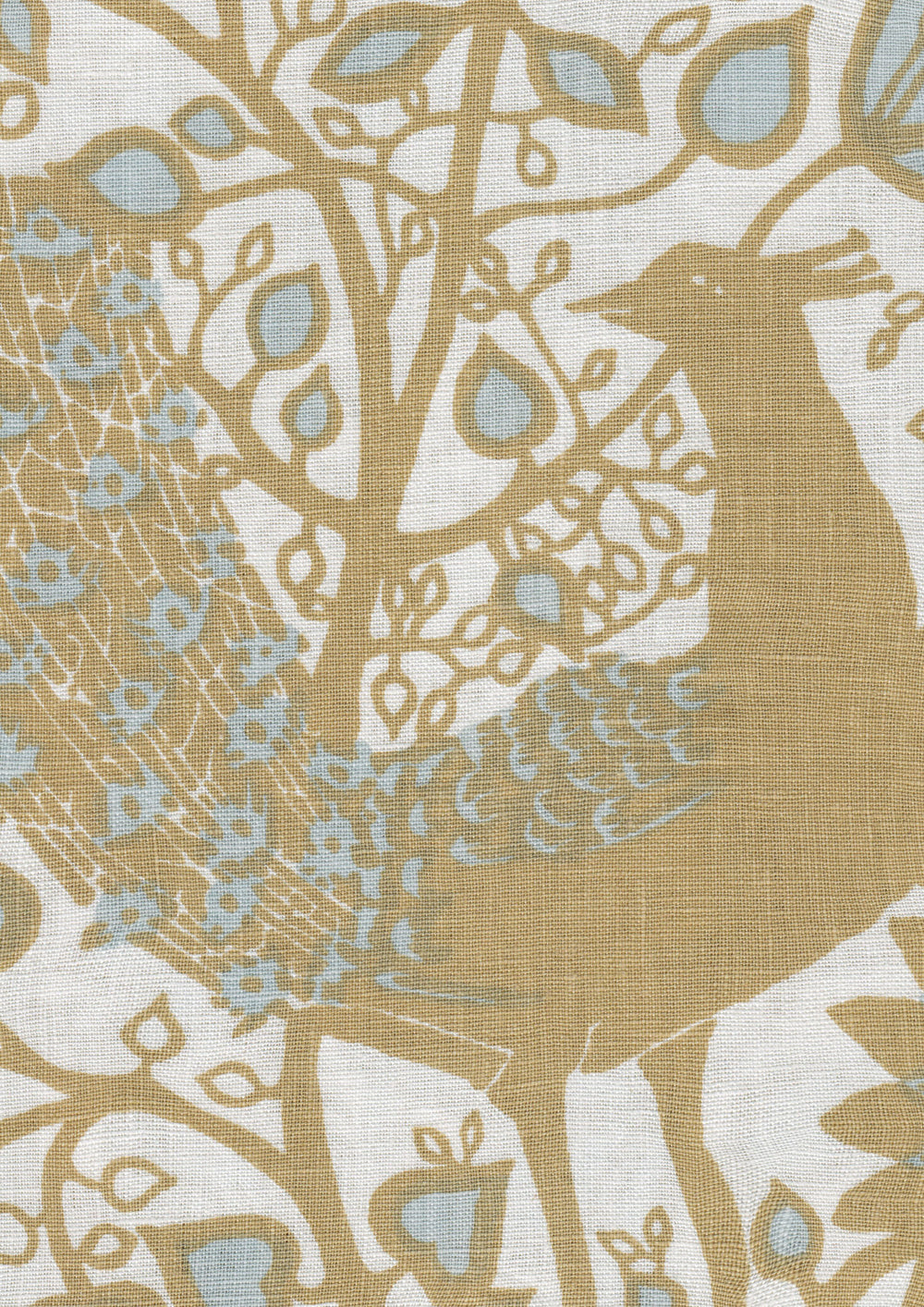Peacock Cava