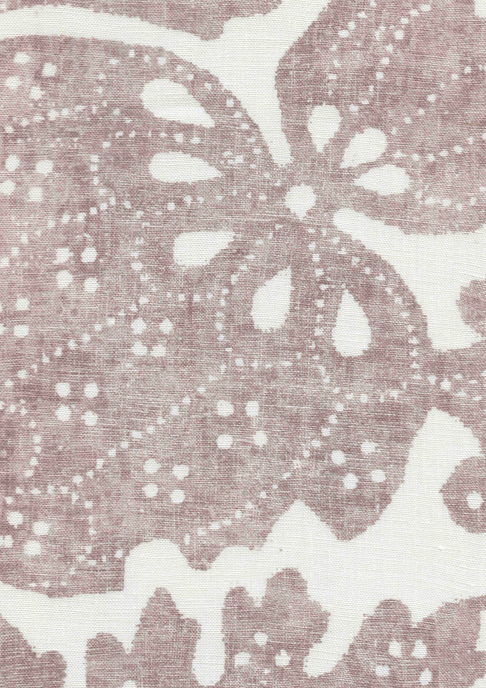 Pomegranate Fresco Hellebore