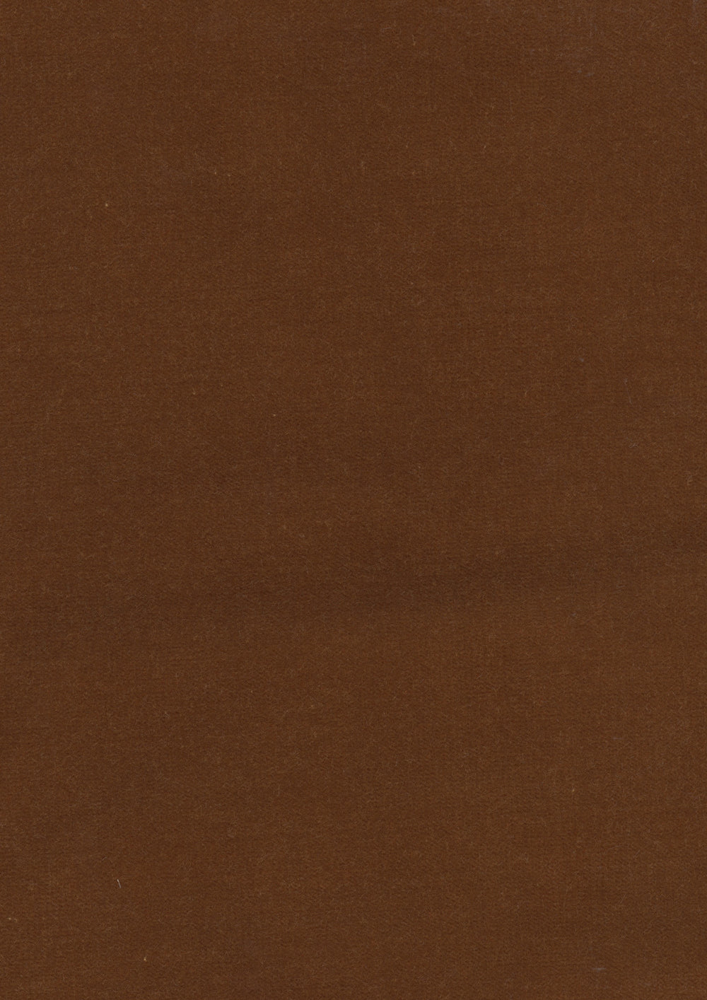 Rooksmoor Velvet Amber
