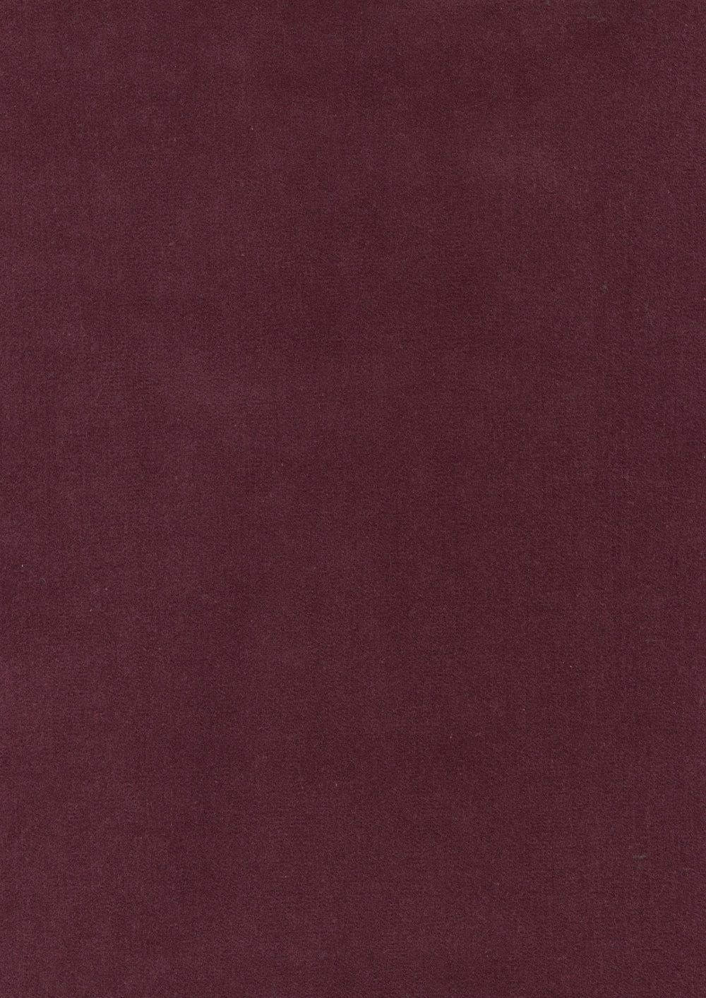 Rooksmoor Velvet Damson