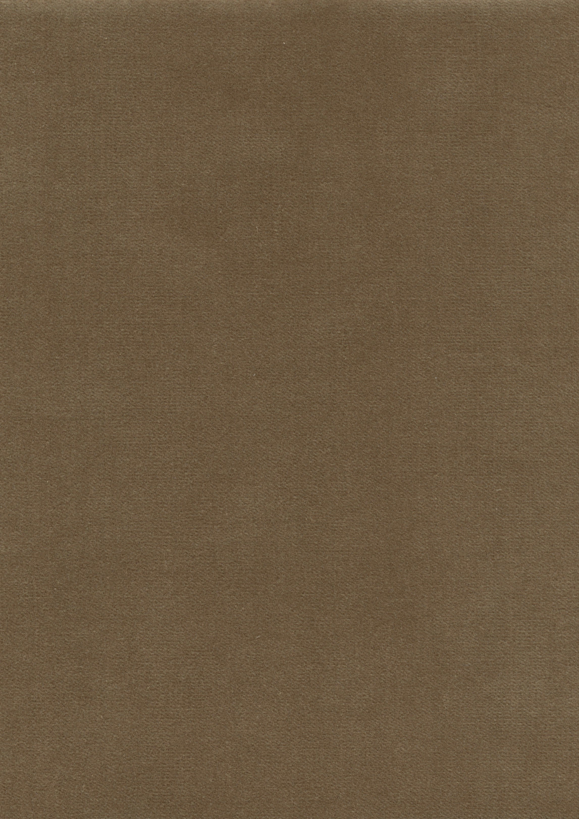 Lewis & Wood Rooksmoor Velvet Fawn Made to Measure Curtains – fabric detail