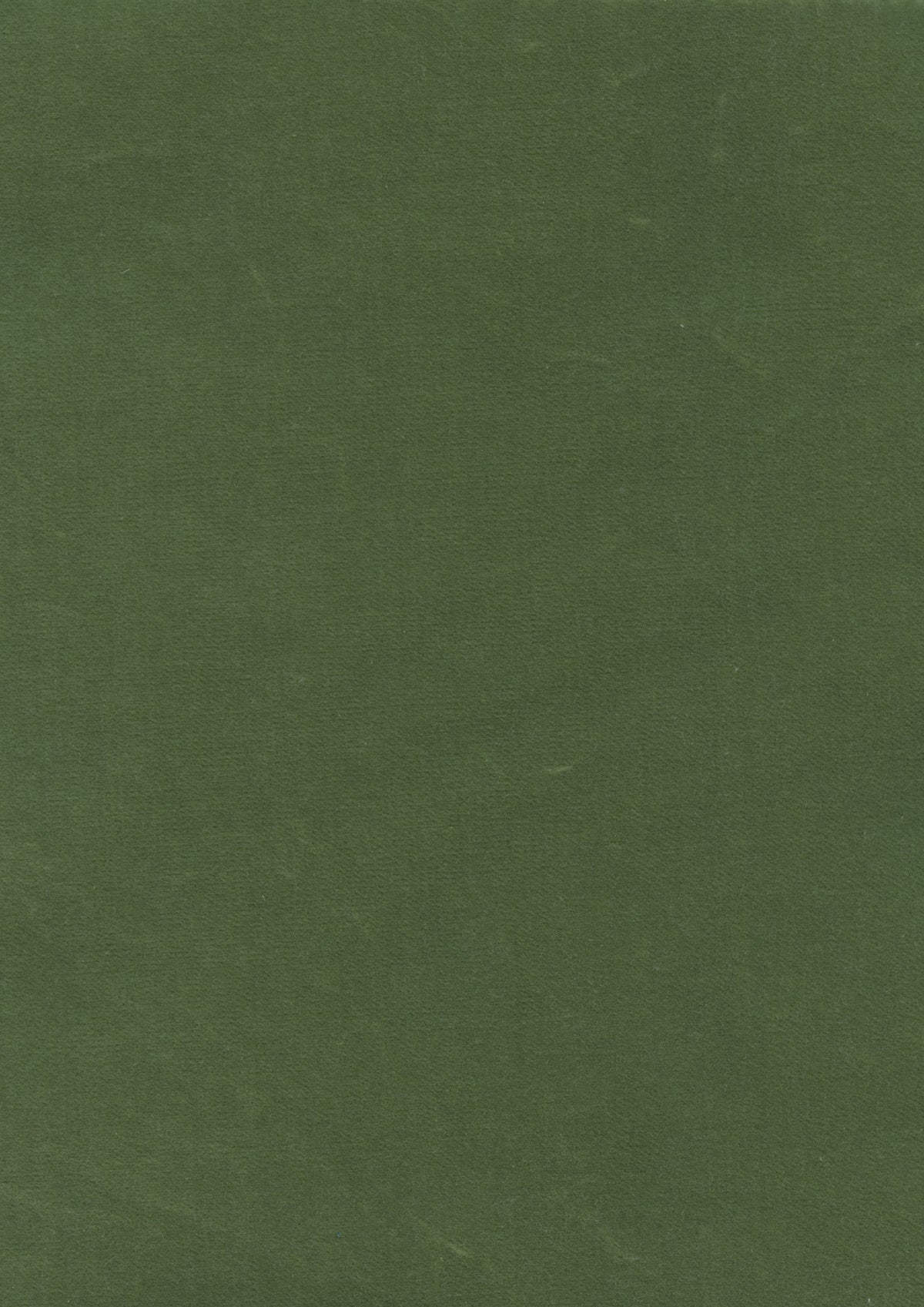 Lewis & Wood Rooksmoor Velvet Myrtle Made to Measure Curtains – fabric detail