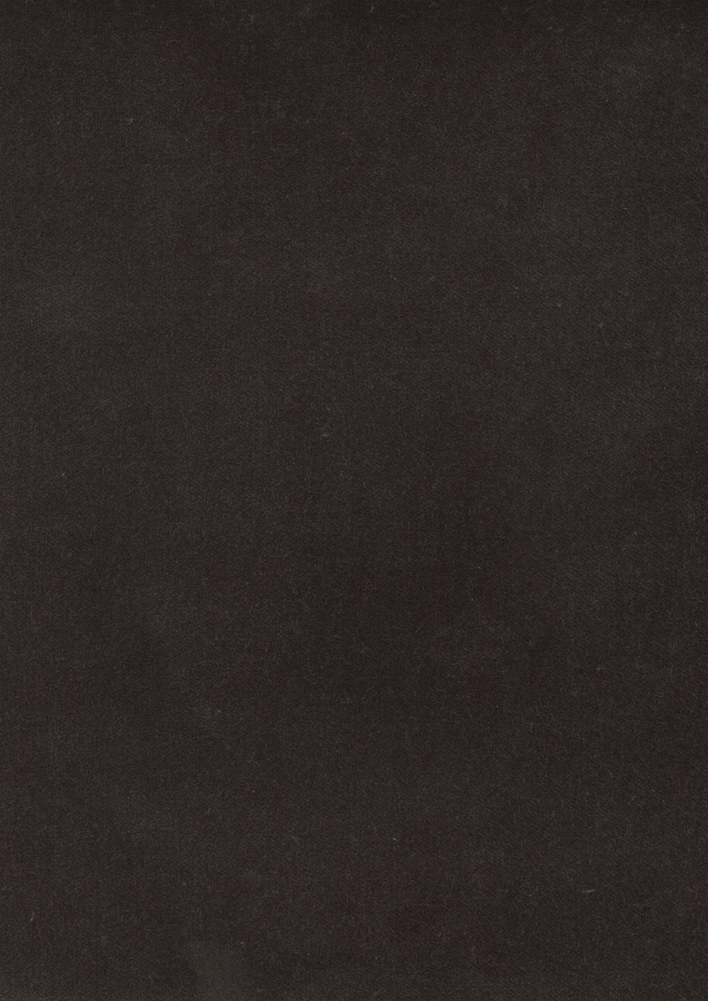 Rooksmoor Velvet Otter