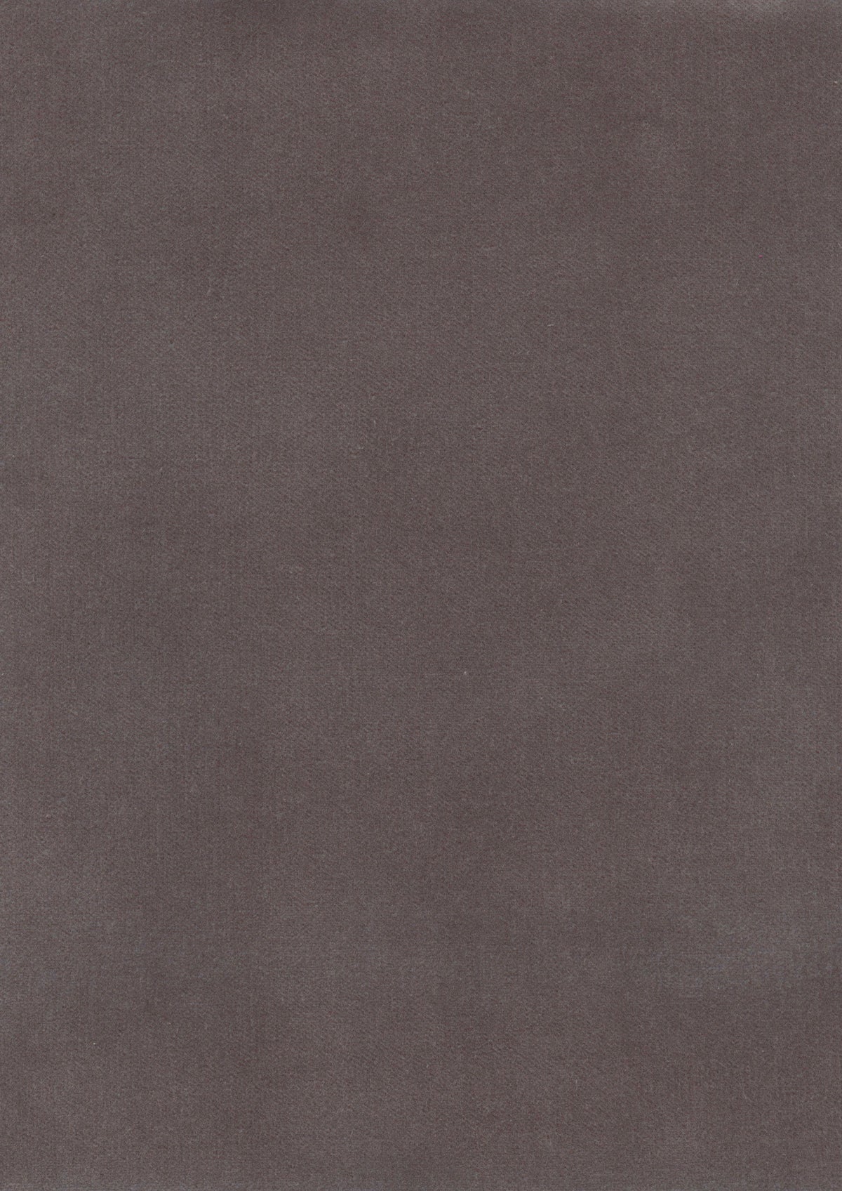 Lewis & Wood Rooksmoor Velvet Seal Made to Measure Roman Blinds – fabric detail