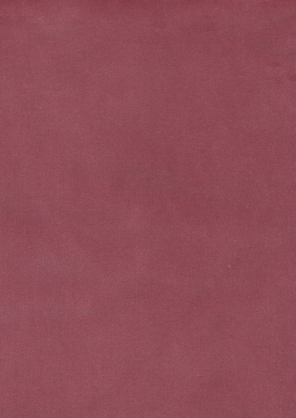 Lewis & Wood Rooksmoor Velvet Tricia Pink Made to Measure Roman Blinds – fabric detail