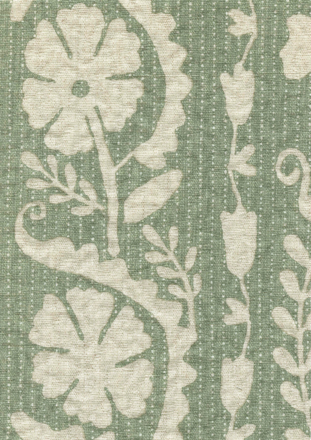 Rosetta Fern