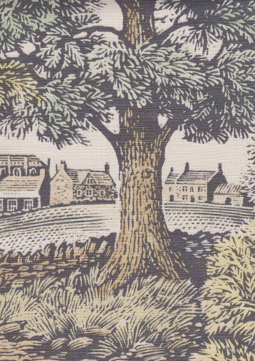 Royal Oak Spring