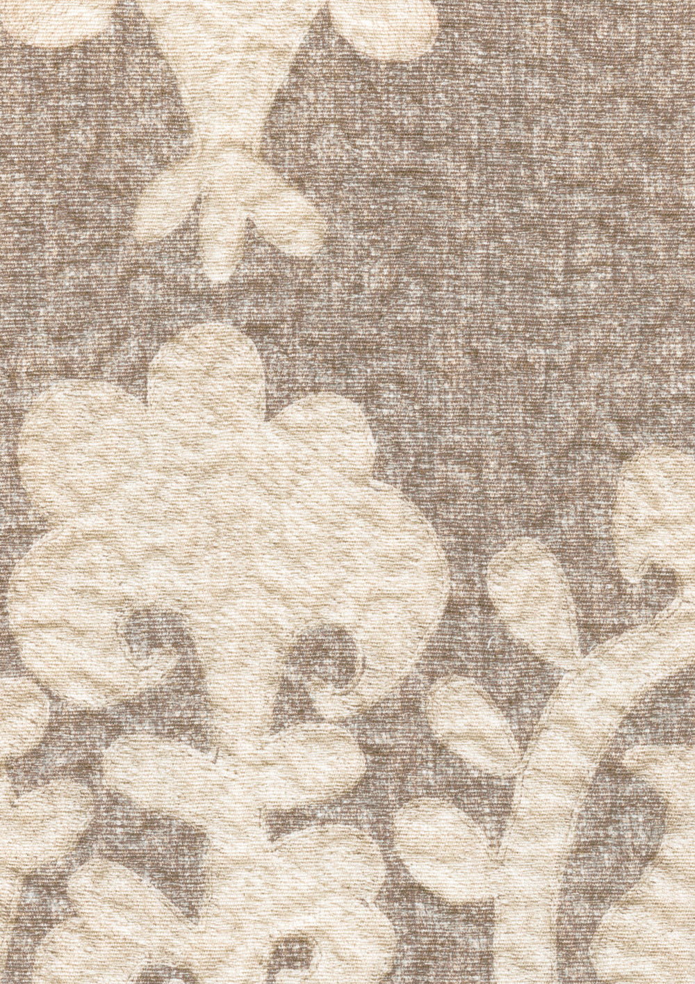 Saracen Pumice