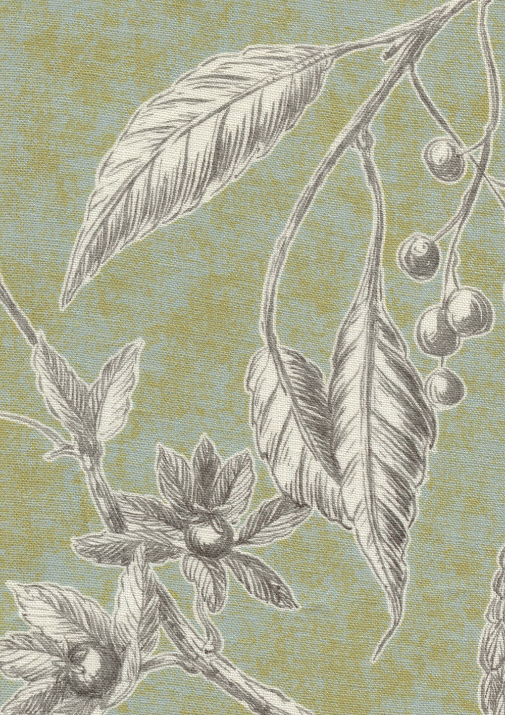 Squawk Charcoal Lime