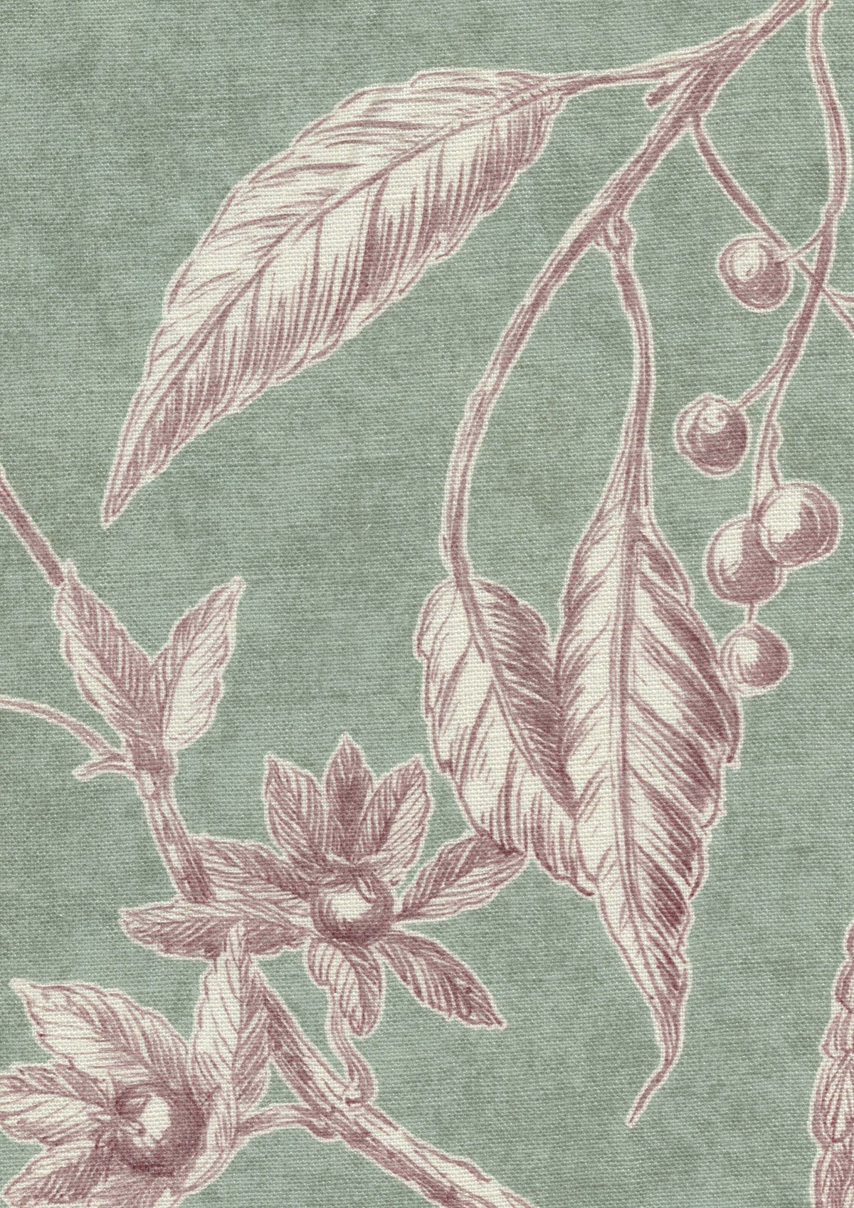 Lewis & Wood Squawk Chocolate Mint Made to Measure Curtains – fabric detail