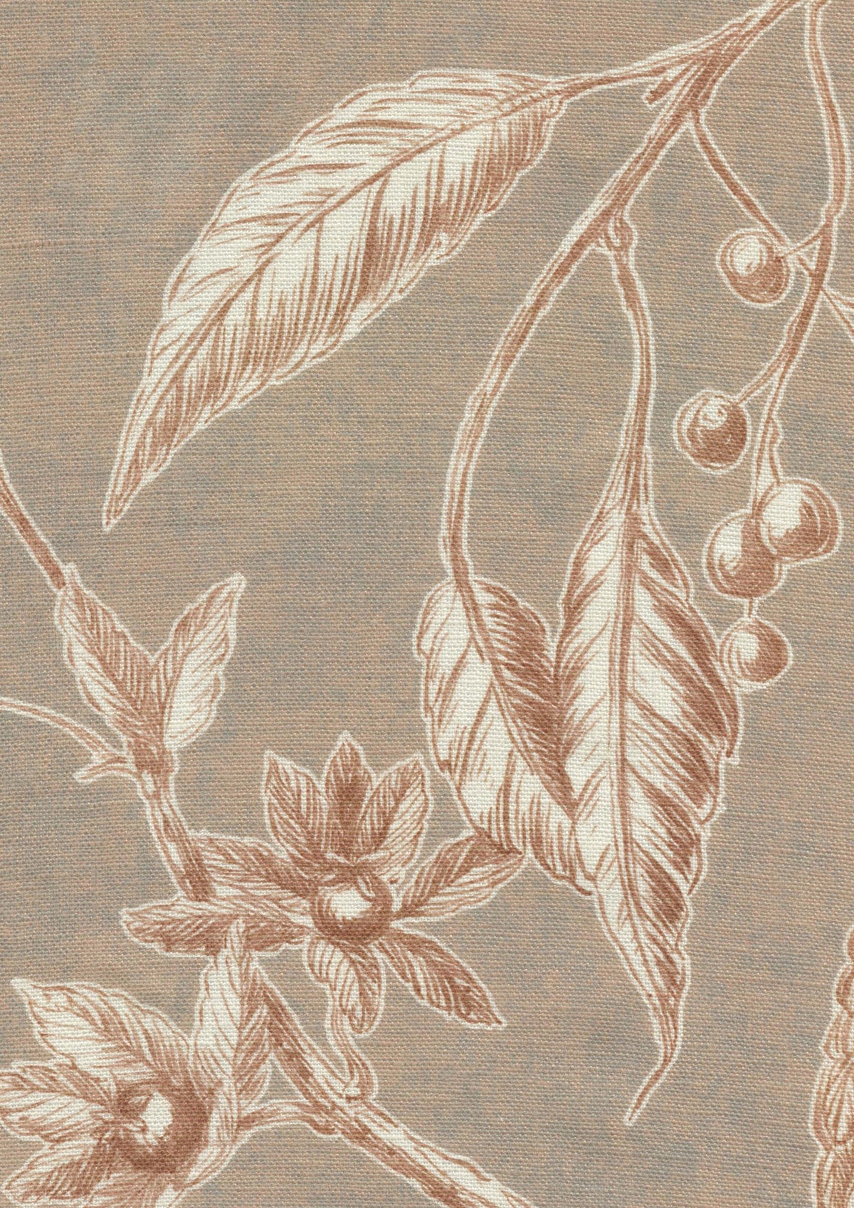 Lewis & Wood Squawk Gingernut Made to Measure Curtains – fabric detail