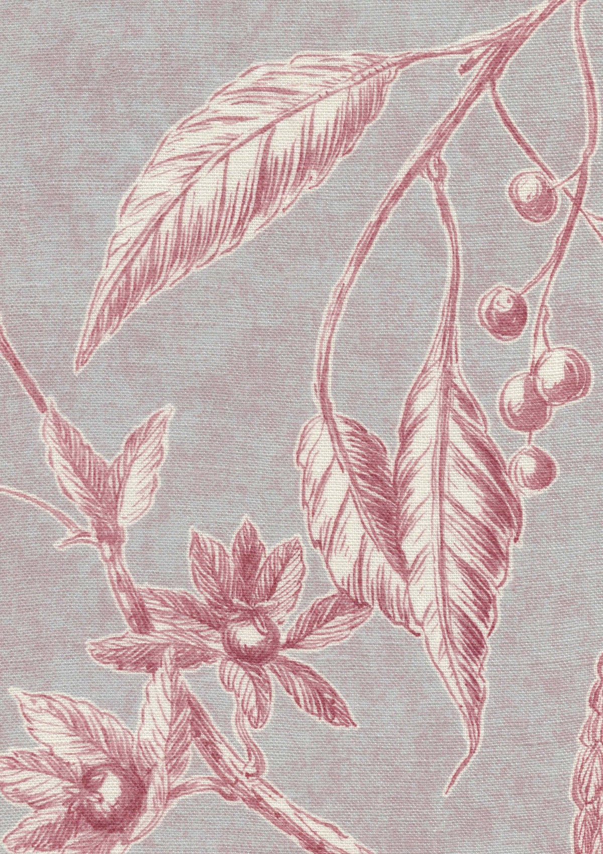 Lewis & Wood Squawk Parma Pink Made to Measure Curtains – fabric detail