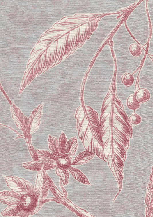 Lewis & Wood Squawk Parma Pink Made to Measure Curtains – fabric detail