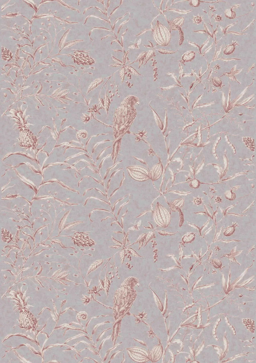 Lewis & Wood Squawk Parma Pink Made to Measure Roman Blinds – full width