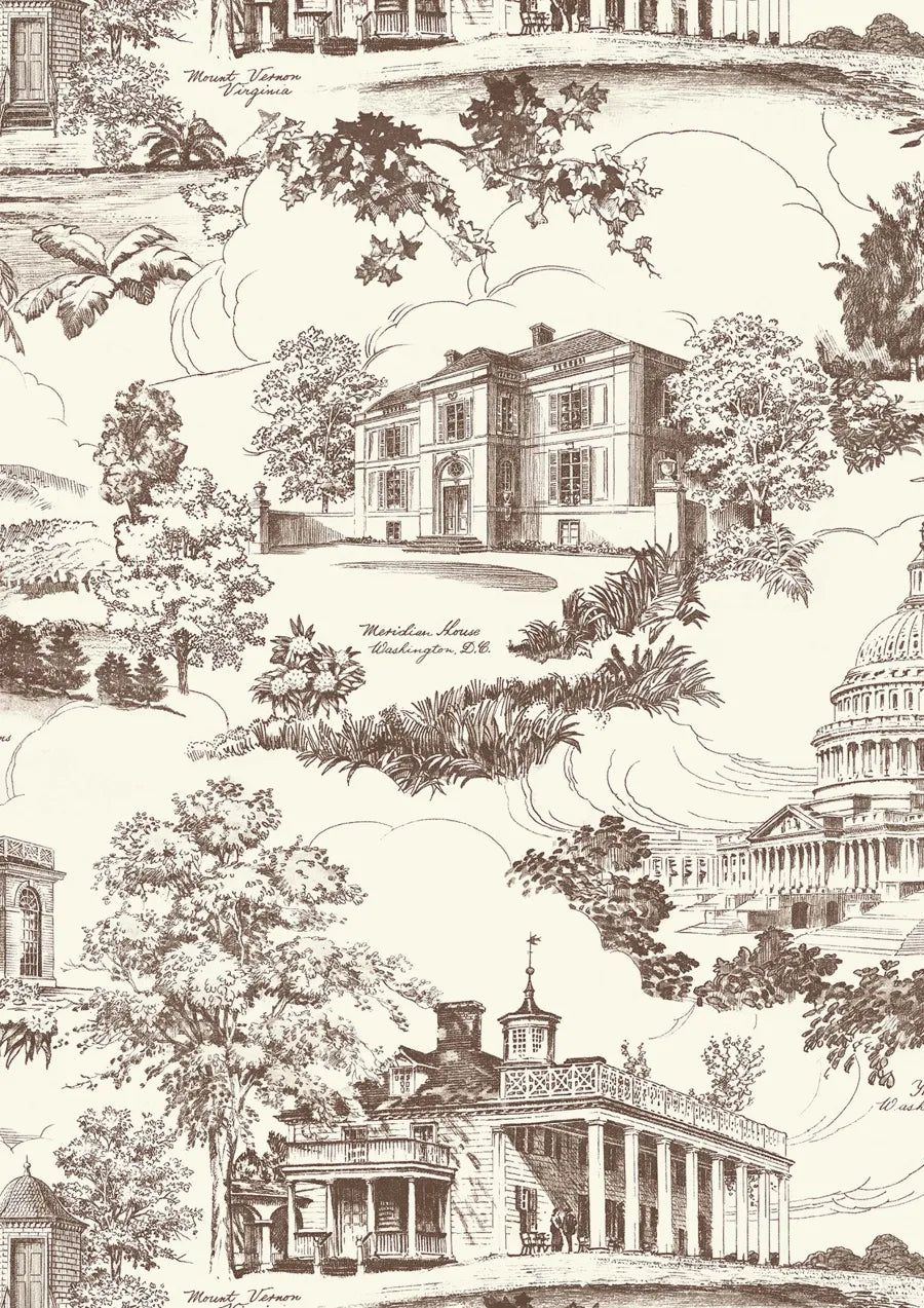 Lewis & Wood Washington Toile Library Made to Measure Curtains – close-up