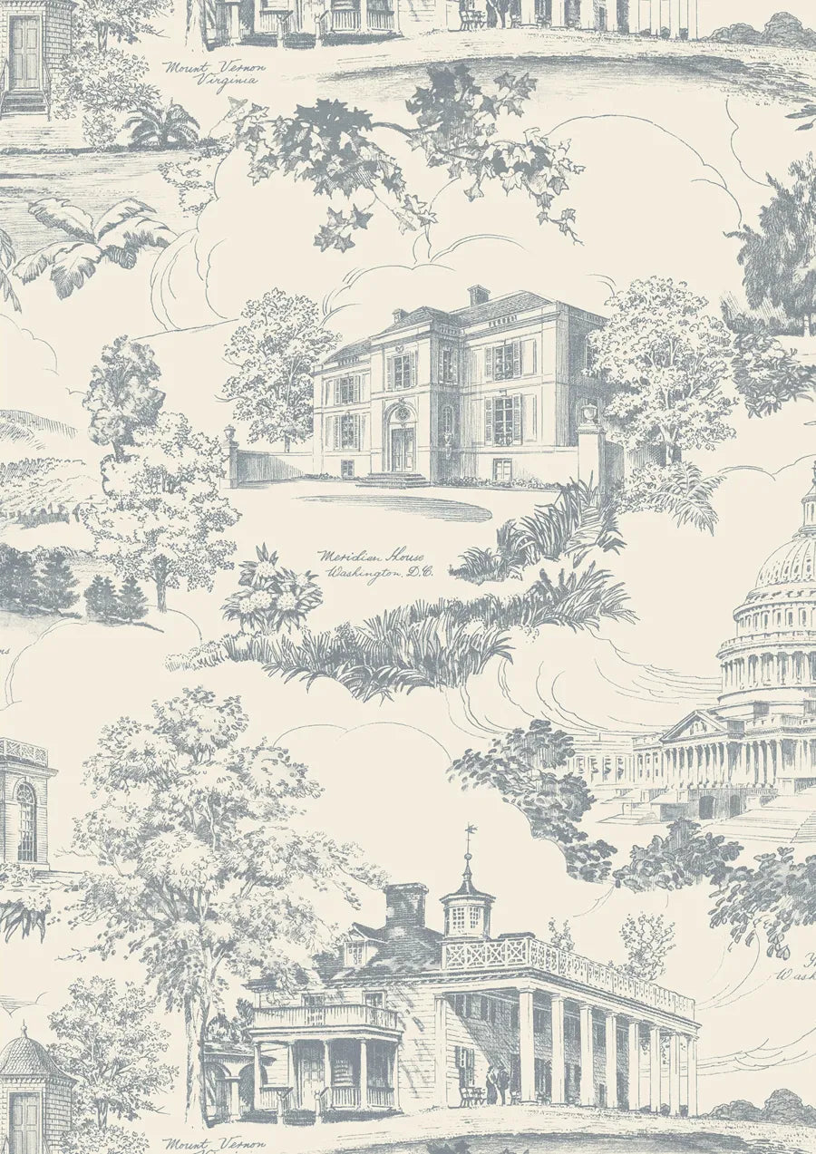 Lewis & Wood Washington Toile Potomac Made to Measure Roman Blinds – close-up
