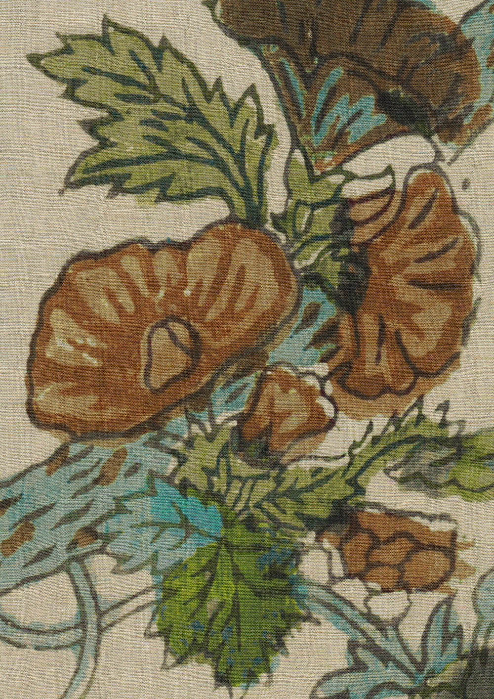 Wild Thing Ginger Kiwi