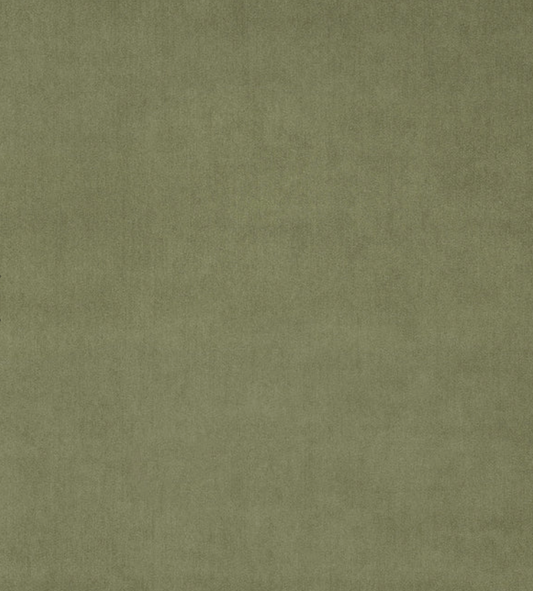 Green Tea - Omega iii Velvet by Linwood - Fabric, Curtains, Roman Blinds