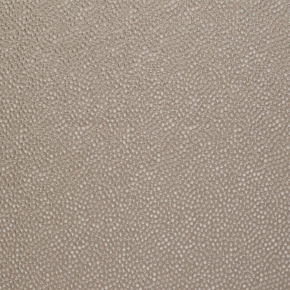 Shagreen Silk Cassava