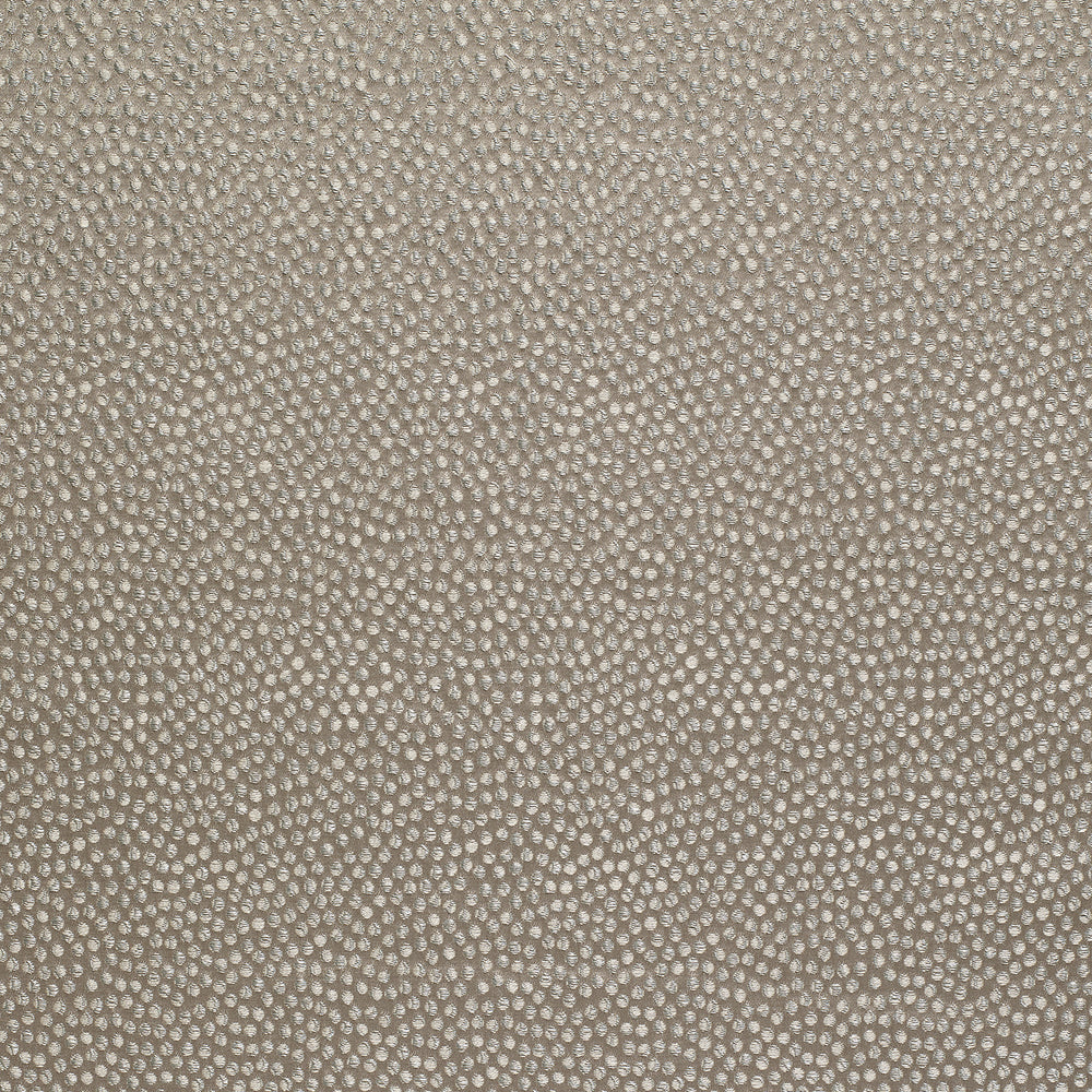 Shagreen Silk Cowrie